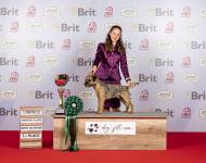 Edwin zpod Chlumských hájů