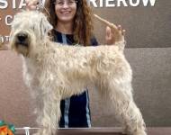 Rokari Top of Ben Nevis