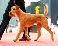 Pont z Hodějovských strání