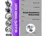 Klub chovatelů teriérů