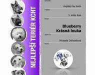 Klub chovatelů teriérů