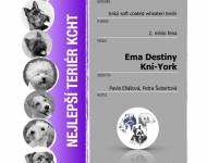 Klub chovatelů teriérů