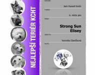 Klub chovatelů teriérů