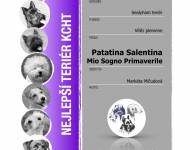 Klub chovatelů teriérů