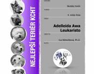 Klub chovatelů teriérů