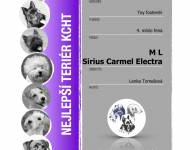 Klub chovatelů teriérů