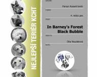 Klub chovatelů teriérů