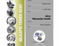 Klub chovatelů teriérů