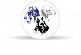 logo_3D_web_400x300.png