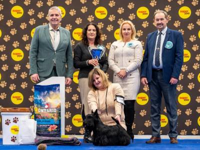 Mimořádný úspěch