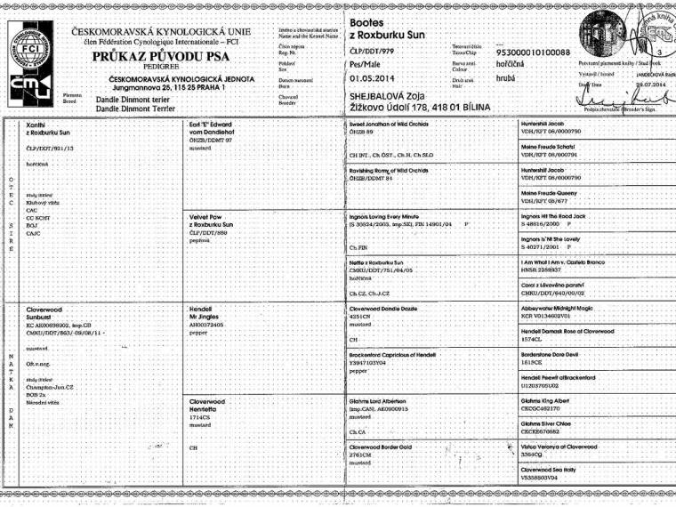 Bootes z Roxburku Sun