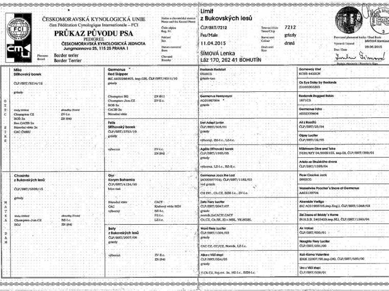 Limit z Bukovských lesů