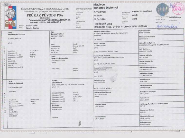 Madison Bohemia Diplomat