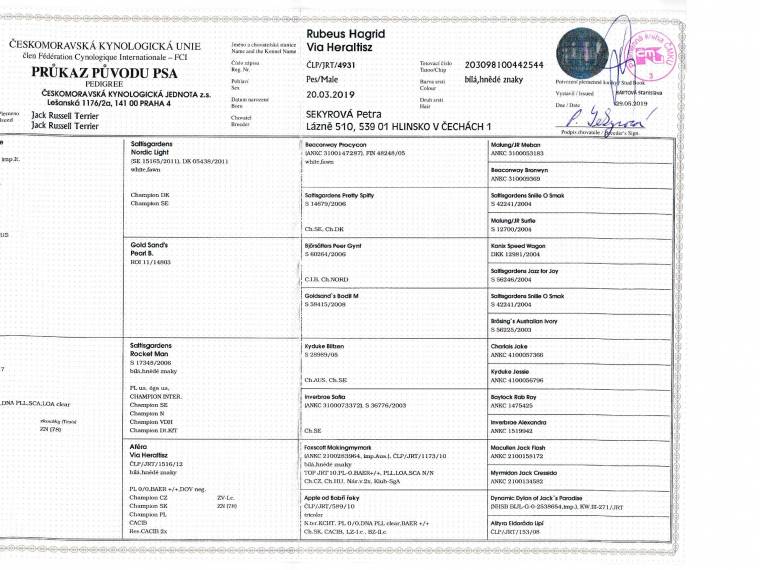Rubeus Hagrid Via Heraltisz