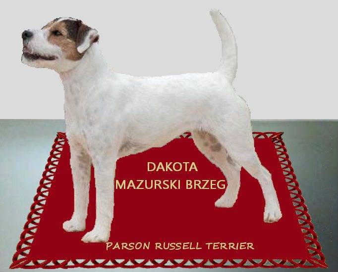 Dakota Mazurski Brzeg