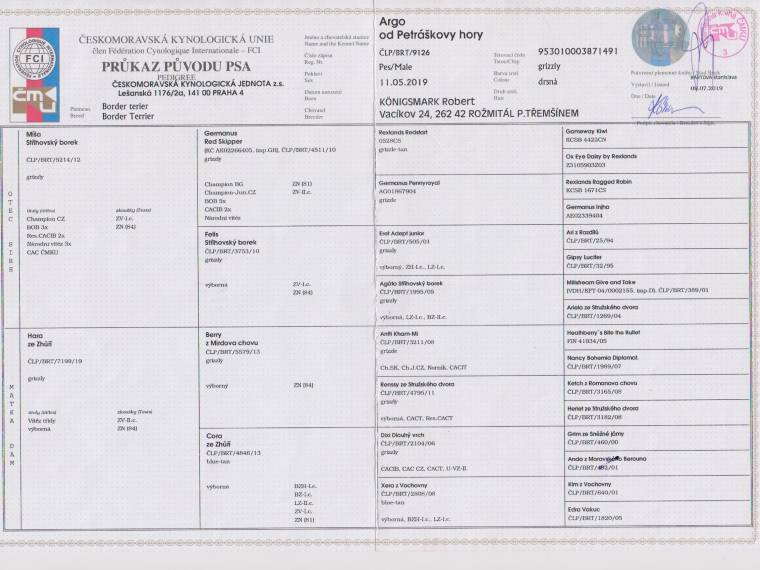 Argo od Petráškovy hory