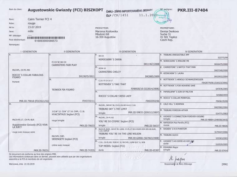 Biszkopt Augustowskie Gwiazdy