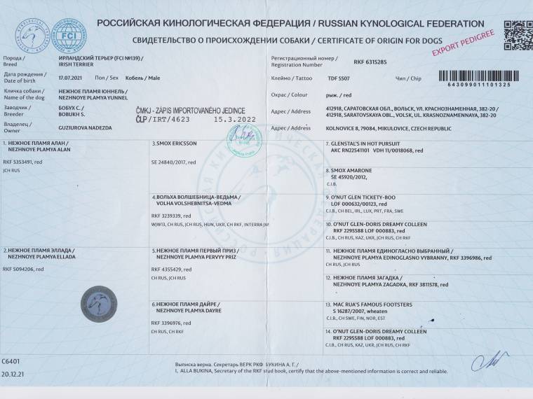Nezhnoye Plamya Yunnel