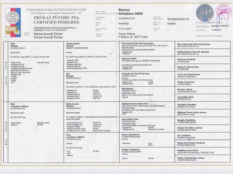 Barney Achabovo údolí