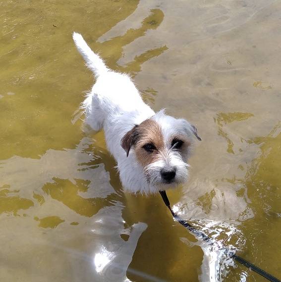 Barney Achabovo údolí