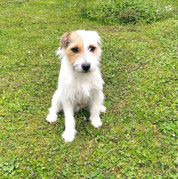 Barney Achabovo údolí