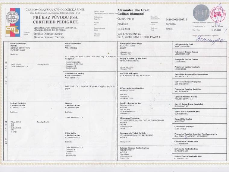 Alexander The Great Cullian Diamond