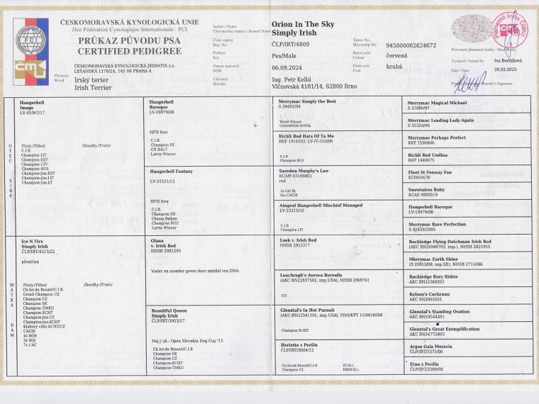 Orion In The Sky Simply Irish