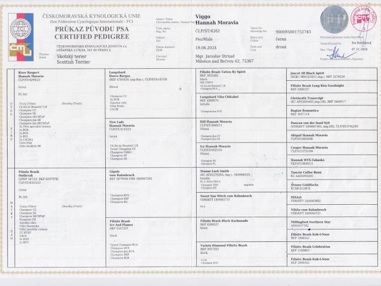 Viggo Hannah Moravia