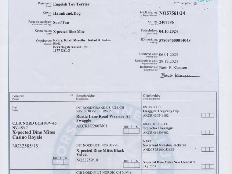 X-pected Dine Mites Skyfall