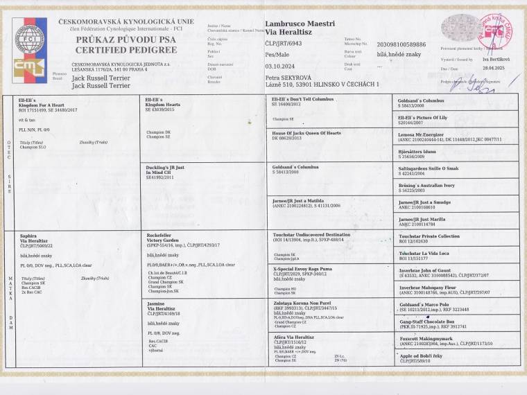 Lambrusco Maestri Via Heraltisz