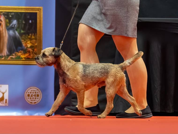 Flint zpod Chlumských hájů