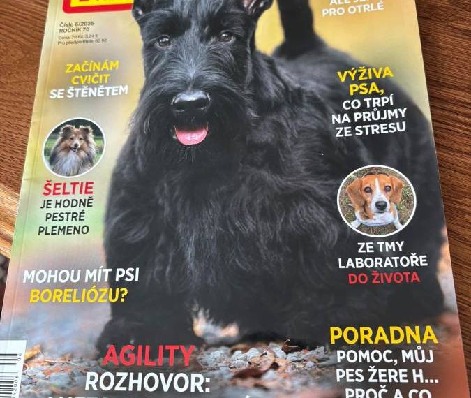 Vrh C Moravian Scott