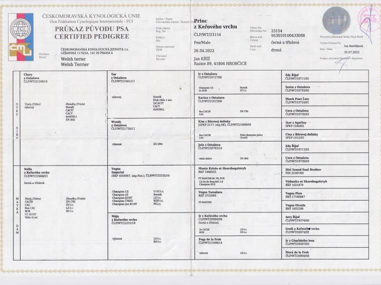 Princ z Keřového vrchu