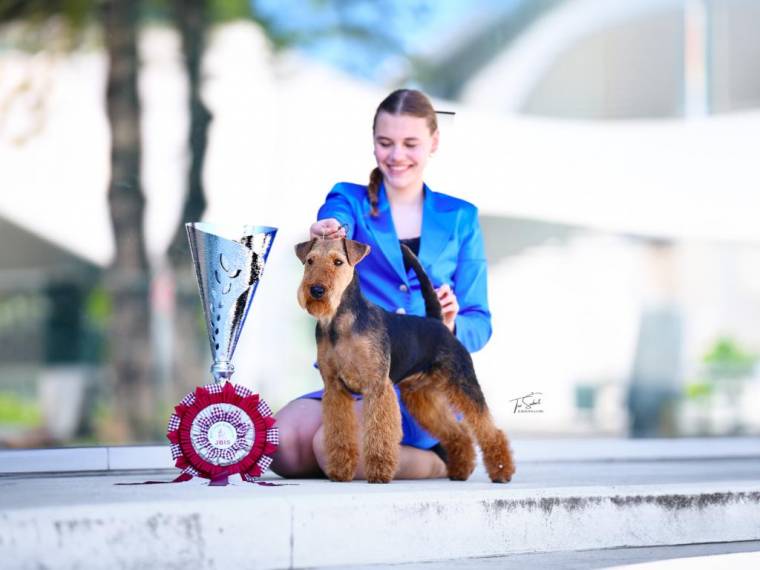 Gauner od Guvernéra