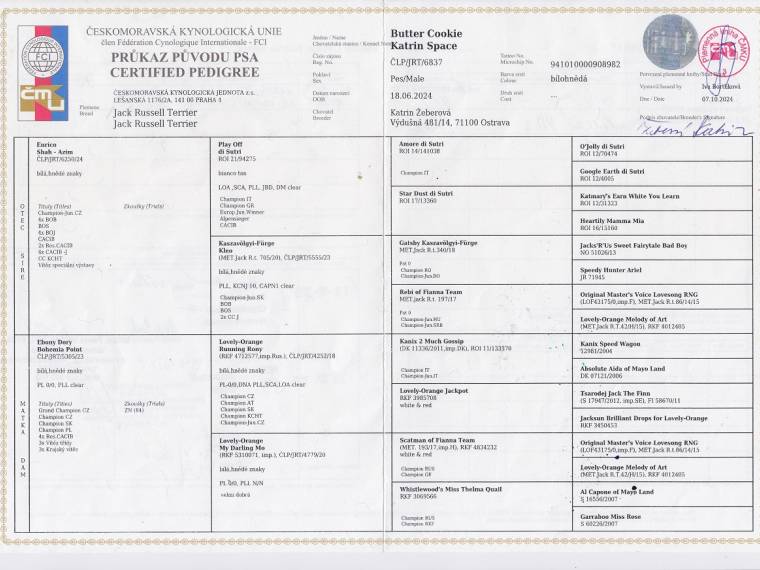 Butter Cookie Katrin Space