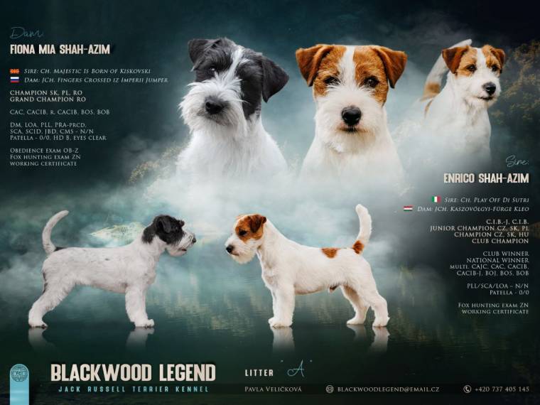 Vrh A Blackwood Legend