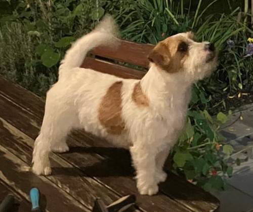 Butter Cookie Katrin Space