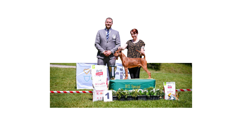 Klub chovatelů teriérů