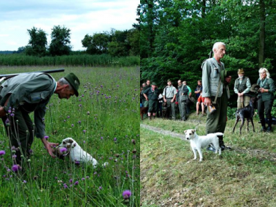 Parsoni rozhovor s chovatelem