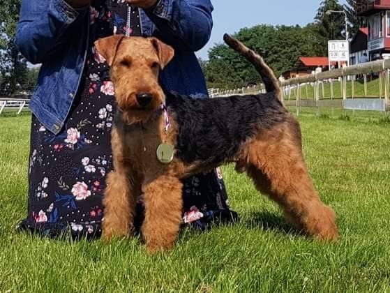 Cir ze Sádeckého údolí