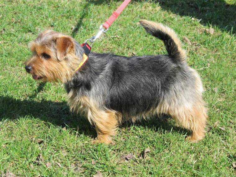 Lilly of Sindy od Spešovské skály