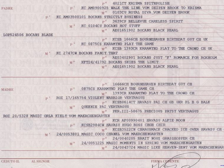 Zackshine Oscar della Renta