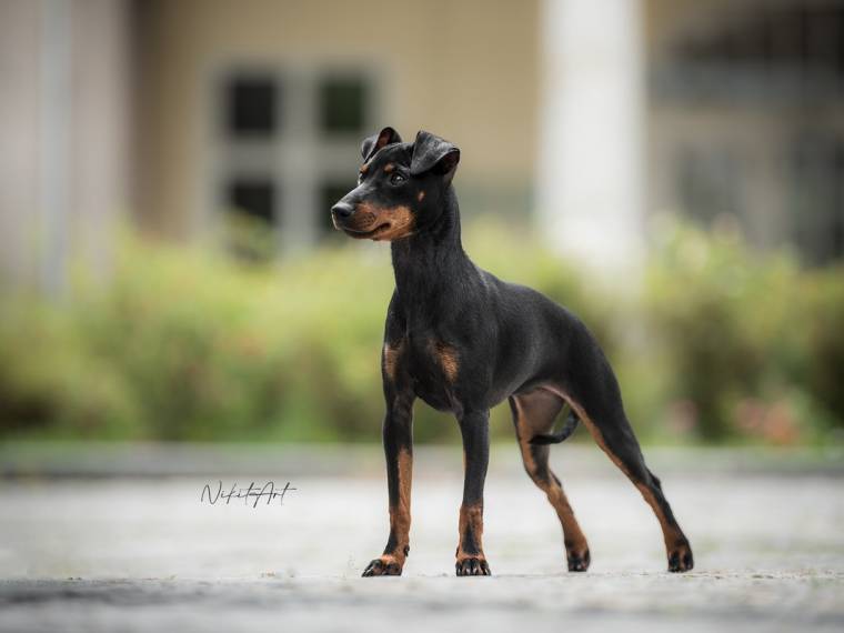 X-pected Dine Mites Nine To Five