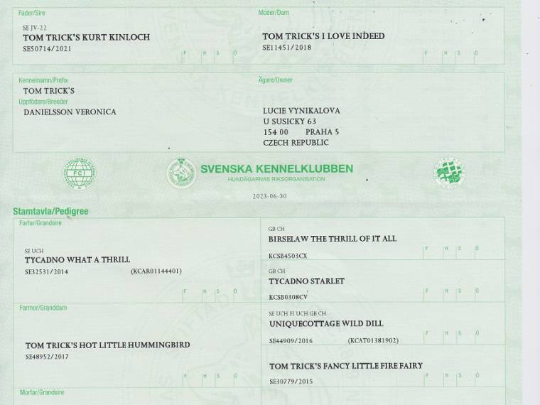 Tom Trick's Magic Kinloch