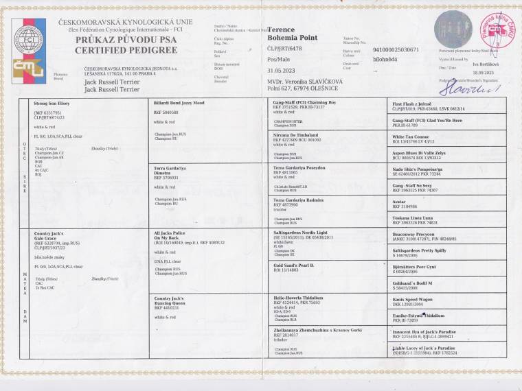 Terence Bohemia Point 