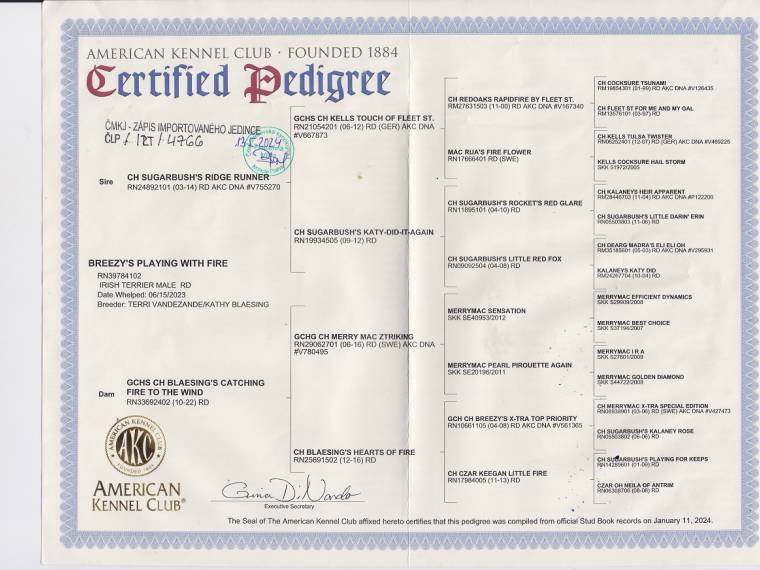 Breezy's Playing With Fire