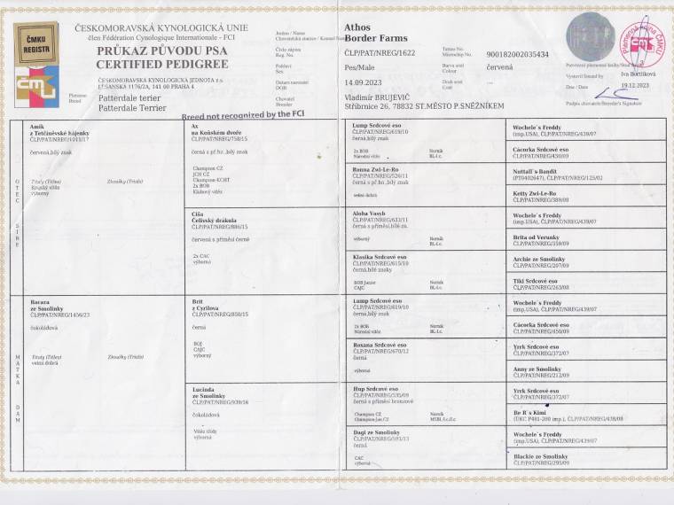 Aries Touching the Stars