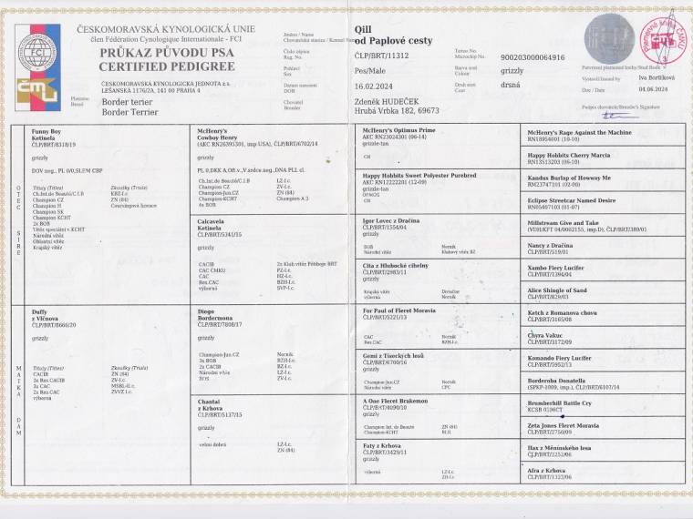 Qill od Paplové cesty